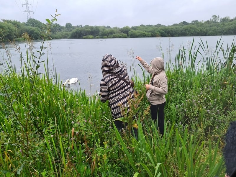 2 children feeding a swan at a reservoir